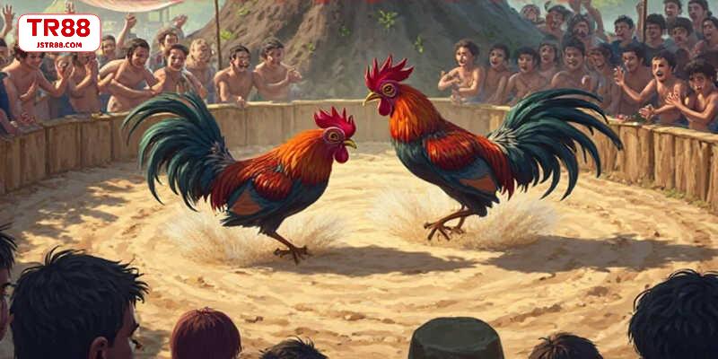 Bí quyết giúp tăng tỷ lệ thắng cược hiệu quả