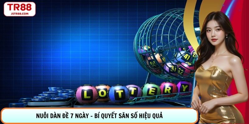 Nuôi Dàn Đề 7 Ngày - Bí Quyết Săn Số Hiệu Quả Cùng TR88